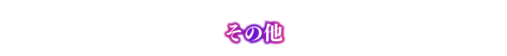 その他