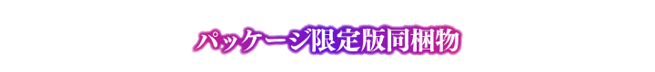 パッケージ限定版同梱物