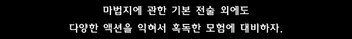 마법지에 관한 기본 전술 외에도 다양한 액션을 익혀서 혹독한 모험에 대비하자.