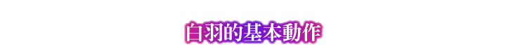 白羽的基本動作